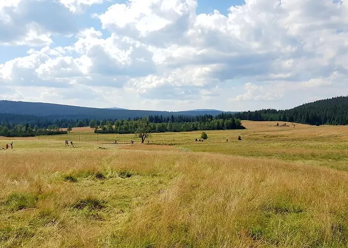 ファームステイ Dowoli *